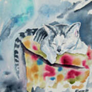 Watercolor - Sleeping Kitten Art Print
