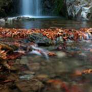 Waterfall And River Flowing With Maple Leaves On The Rocks On The River In Autumn Art Print