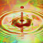 Water Droplet_6543 Art Print