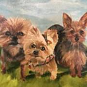 We Are Family- Dogs Art Print