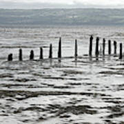 West Kirby. Stakes On The Shoreline. Art Print