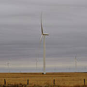 West Texas Wind Farm Art Print