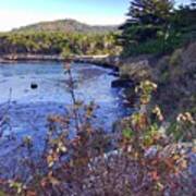 Whalers Cove Point Lobos Art Print