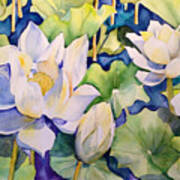 White Lotus Art Print
