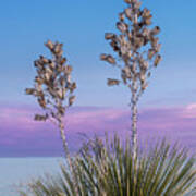 White Sands Beauty Art Print