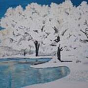 White Trees Art Print