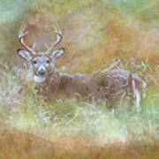 Whitetail Buck Painterly Autumn Art Print