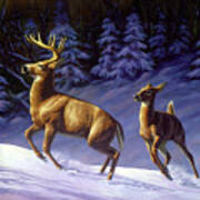 Whitetail Deer Painting - Startled Art Print