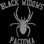Widows Pacoima Art Print