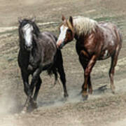 Wild Horses 4c Art Print