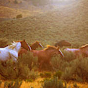 Wild Horses Running At Sunset Art Print