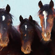 Wild Mustangs Wyoming X118 Art Print