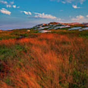 Wind-tossed Coastal Wilderness Grasses At Sunset Art Print