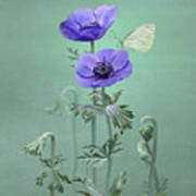 Windflowers Art Print