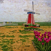 Windmill And Tulips Art Print