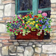 Window Flower Pot - In Bloom Art Print