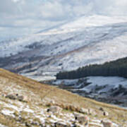 Winter At College Valley, Northumberland Art Print