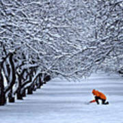 Winter Wonderland Trees Overlapping Branches Covered With Snow Boy In Orange Coat Is Making Snowman Art Print