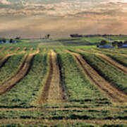 Wisconsin Field Art Print