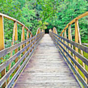 Wooden Footbridge In Alabama Art Print