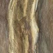 Wrapped Figure In Brown Art Print