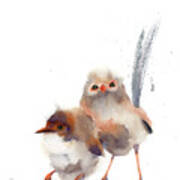 Wren Birds Art Print Art Print