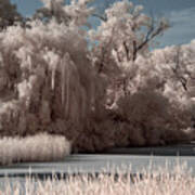 Yahara River At Viking County Park In Stoughton Wisconsin Art Print