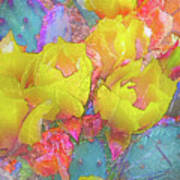 Yellow Cactus Flowers Art Print