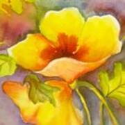 Yellow Delight Flower Art Print