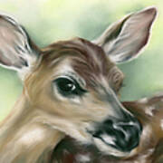 Young Fawn On Green Art Print