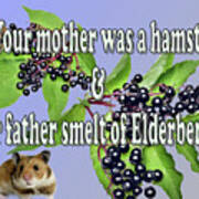 Your Mother Was A Hamster....... Art Print