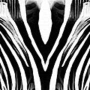 Zebra Abstract In Black And White Art Print