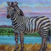 Zebra  At The Waterhole Art Print