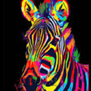 Zebra Genetic Studies Art Print