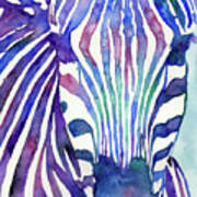 Zebra In Blue Art Print