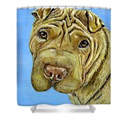 Beautiful Shar-pei Dog Portrait Shower Curtain by Michelle Wrighton