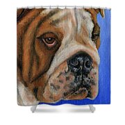 Beautiful Bulldog Oil Painting Shower Curtain by Michelle Wrighton