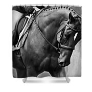 Elegance - Dressage Horse Shower Curtain by Michelle Wrighton