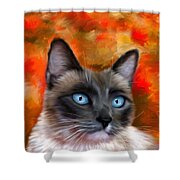 Fire And Ice - Siamese Cat Painting Shower Curtain by Michelle Wrighton