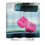 Furry Dice Hanging In A Car Photograph by Panoramic Images - Fine Art  America