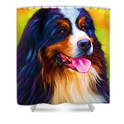 Colorful Bernese Mountain Dog Painting Shower Curtain by Michelle Wrighton