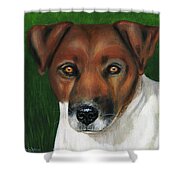 Otis Jack Russell Terrier Shower Curtain by Michelle Wrighton