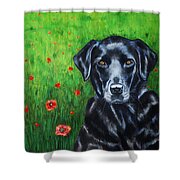 Poppy - Labrador Dog In Poppy Flower Field Shower Curtain by Michelle Wrighton