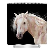 Pretty Palomino Pony Painting Shower Curtain by Michelle Wrighton