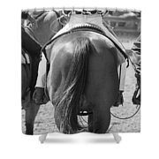 Rodeo Bums Shower Curtain by Michelle Wrighton