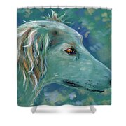 Saluki Dog Painting Shower Curtain by Michelle Wrighton