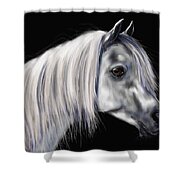 Grey Arabian Mare Painting Shower Curtain by Michelle Wrighton