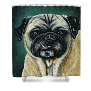 This Is My Happy Face - Pug Dog Painting Shower Curtain by Michelle Wrighton