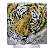 Tiger Painting Shower Curtain