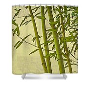 Zen Bamboo Abstract I Digital Art by Marianne Campolongo - Fine Art America